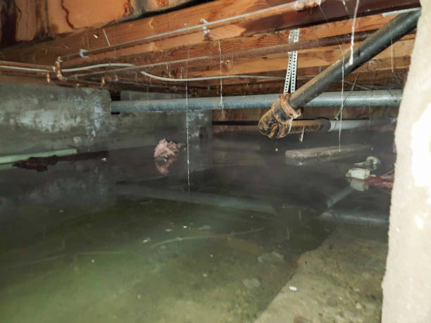 Best Water damage restoration near me  in Millbrook, AL