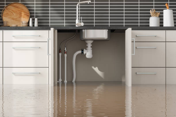 Best Water damage restoration services  in Millbrook, AL