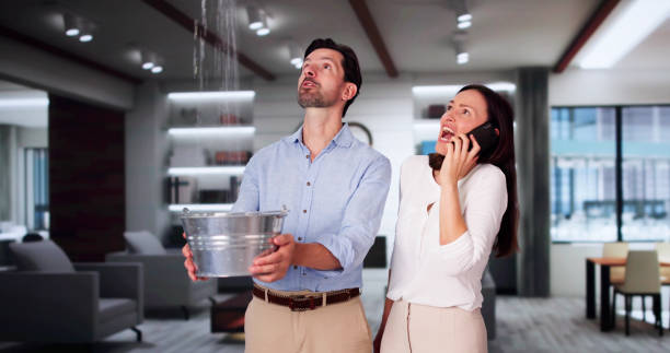  Millbrook, AL Water damage restoration Pros